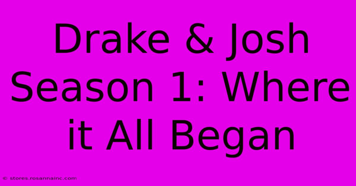 Drake & Josh Season 1: Where It All Began