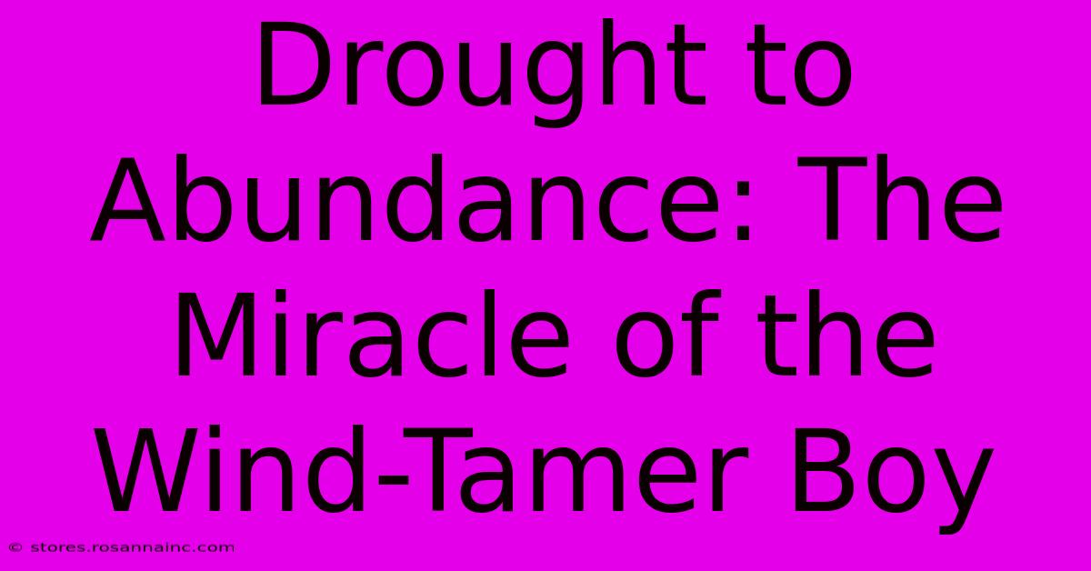 Drought To Abundance: The Miracle Of The Wind-Tamer Boy