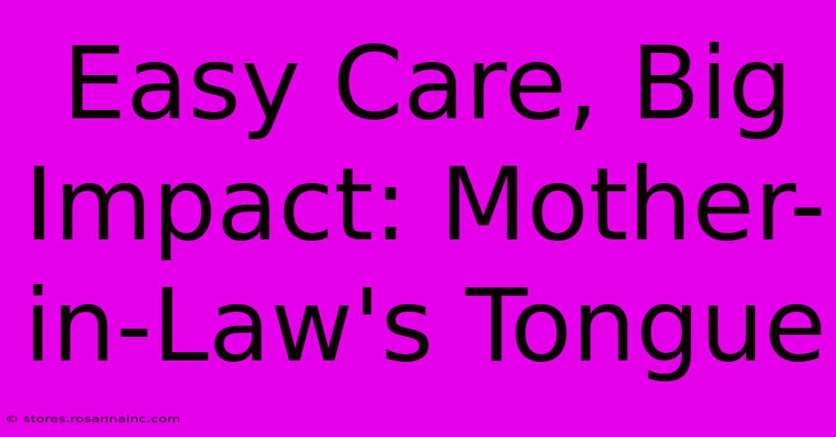 Easy Care, Big Impact: Mother-in-Law's Tongue