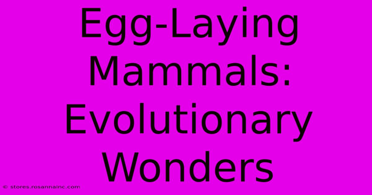 Egg-Laying Mammals: Evolutionary Wonders