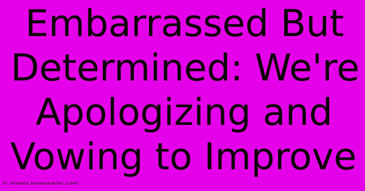 Embarrassed But Determined: We're Apologizing And Vowing To Improve