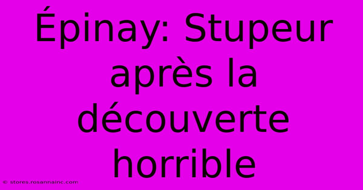 Épinay: Stupeur Après La Découverte Horrible