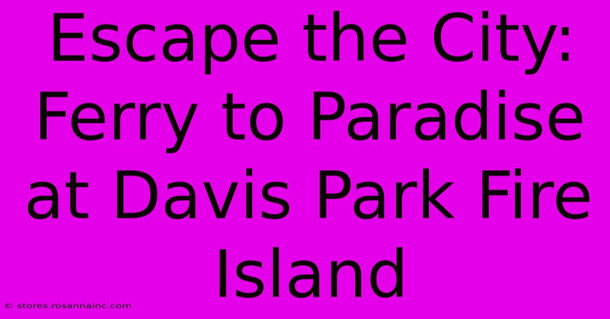 Escape The City: Ferry To Paradise At Davis Park Fire Island