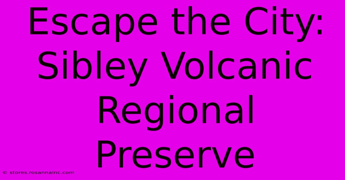 Escape The City: Sibley Volcanic Regional Preserve