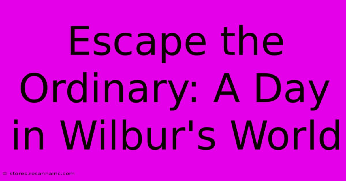 Escape The Ordinary: A Day In Wilbur's World