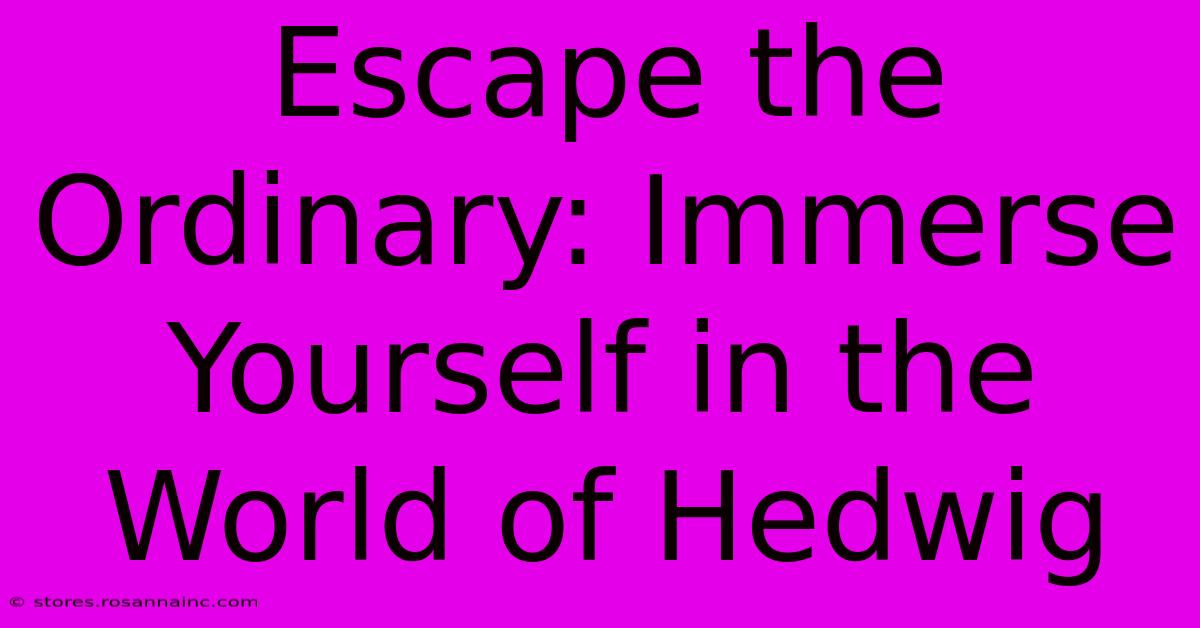 Escape The Ordinary: Immerse Yourself In The World Of Hedwig