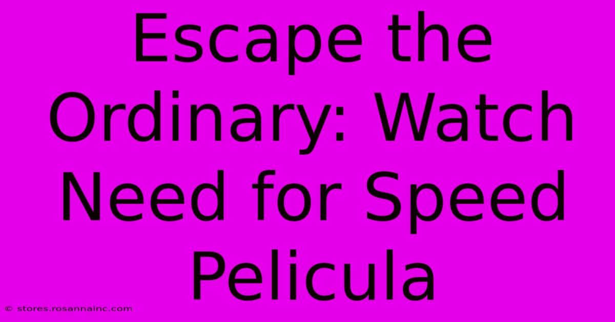 Escape The Ordinary: Watch Need For Speed Pelicula