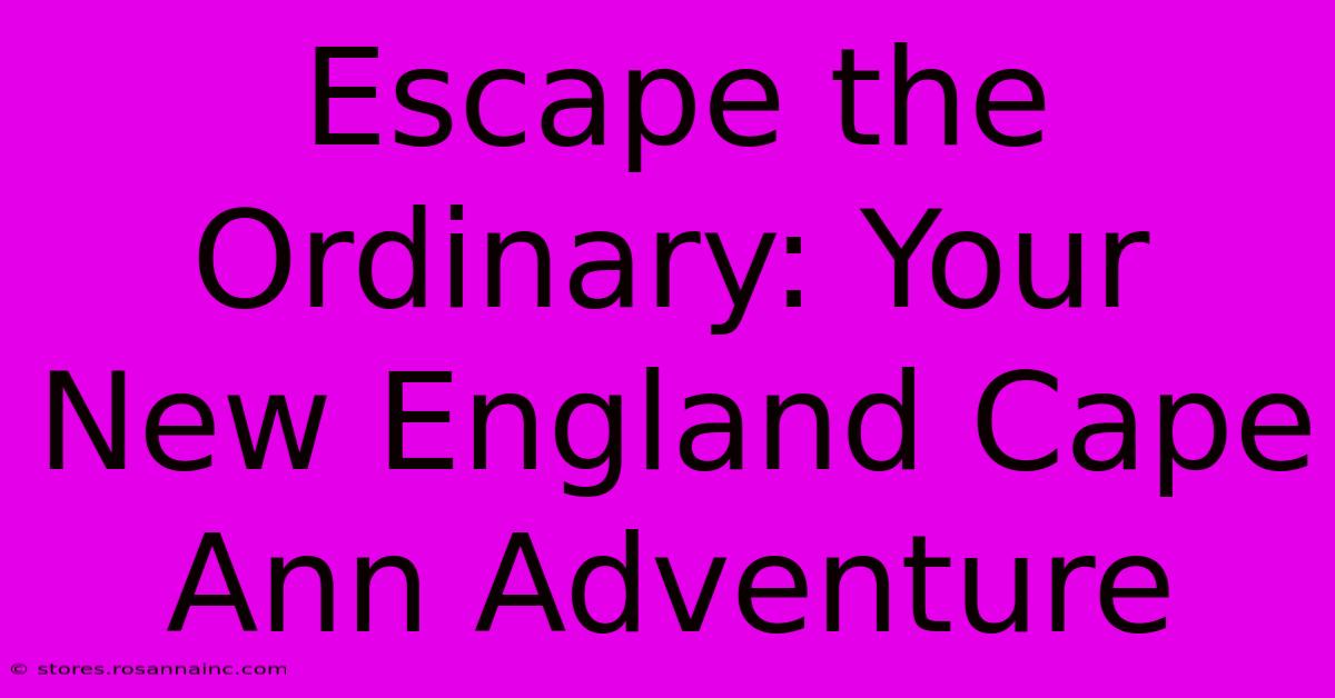 Escape The Ordinary: Your New England Cape Ann Adventure