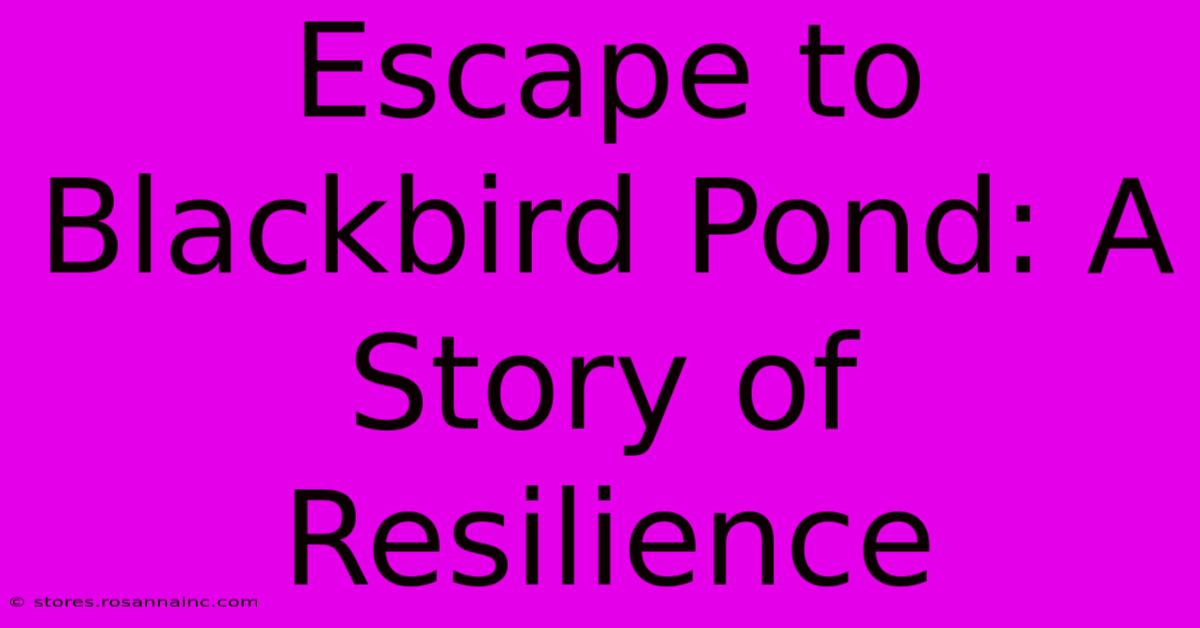 Escape To Blackbird Pond: A Story Of Resilience 