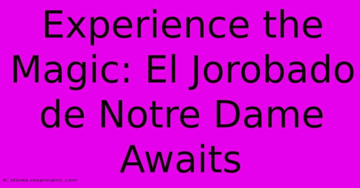 Experience The Magic: El Jorobado De Notre Dame Awaits