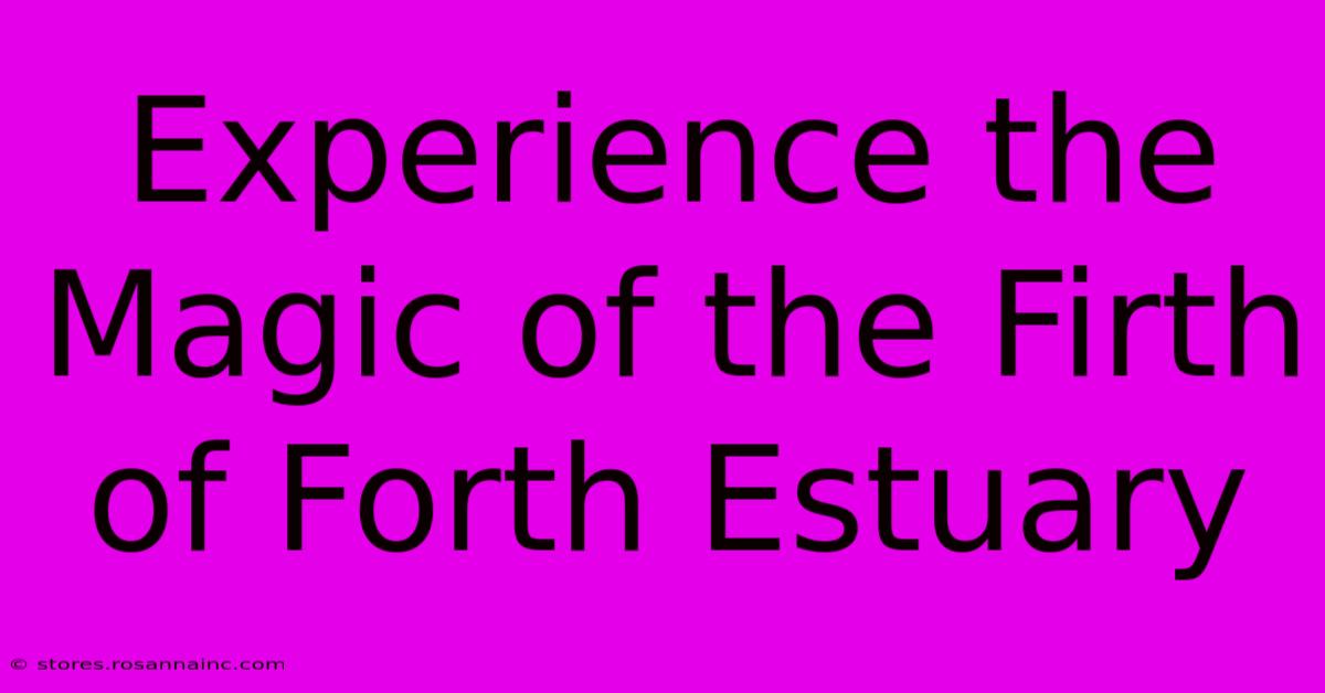 Experience The Magic Of The Firth Of Forth Estuary