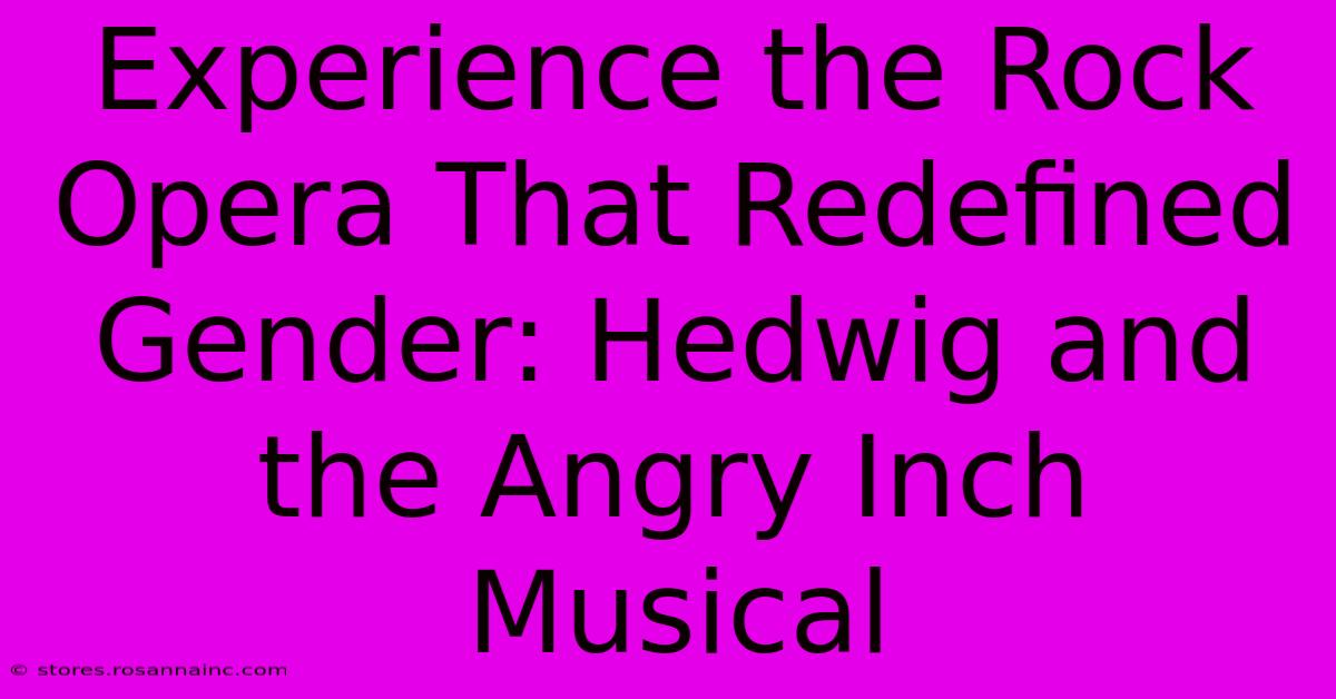 Experience The Rock Opera That Redefined Gender: Hedwig And The Angry Inch Musical