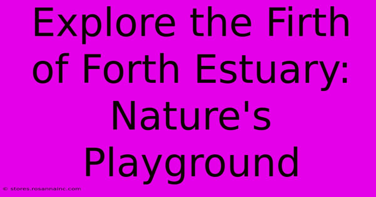 Explore The Firth Of Forth Estuary: Nature's Playground 