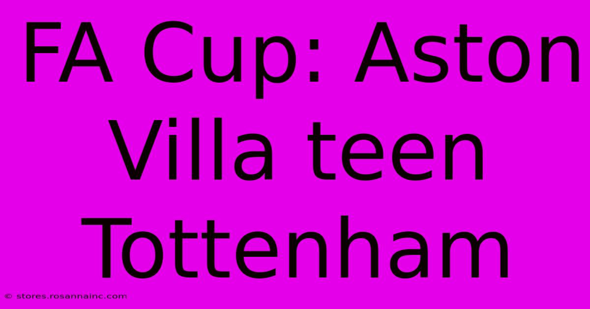 FA Cup: Aston Villa Teen Tottenham