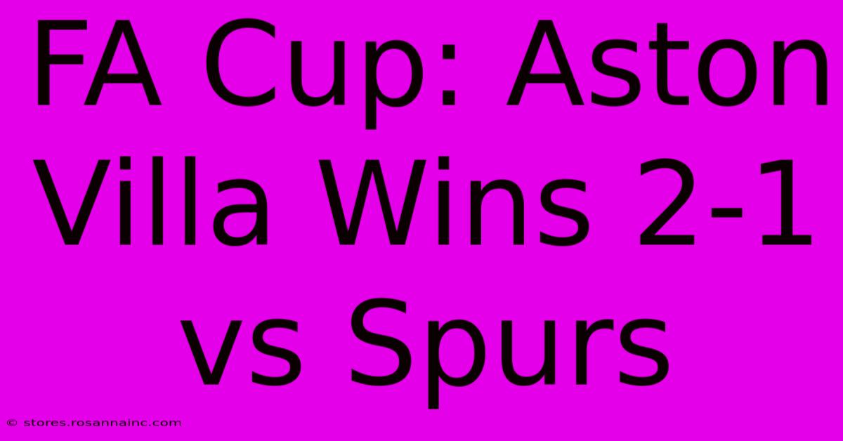 FA Cup: Aston Villa Wins 2-1 Vs Spurs