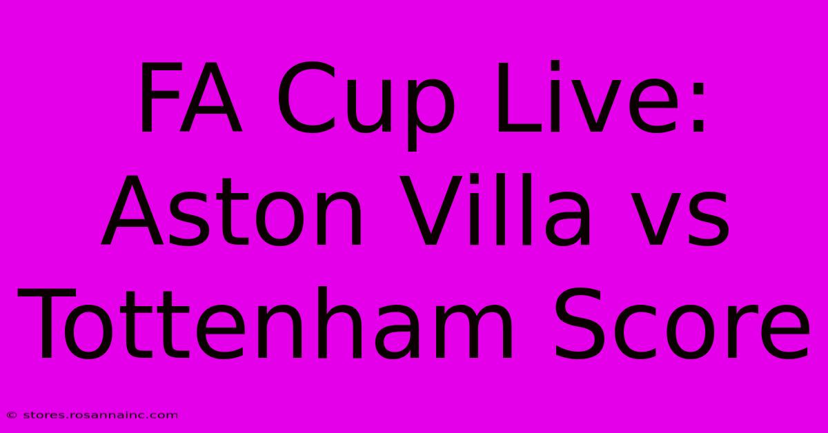 FA Cup Live: Aston Villa Vs Tottenham Score