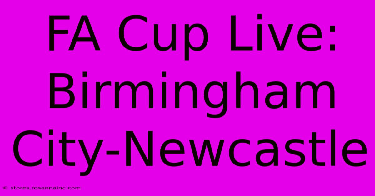 FA Cup Live: Birmingham City-Newcastle