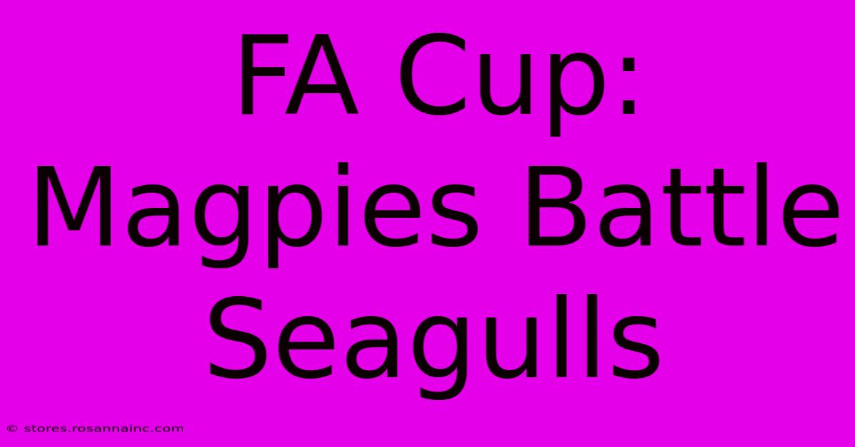 FA Cup: Magpies Battle Seagulls