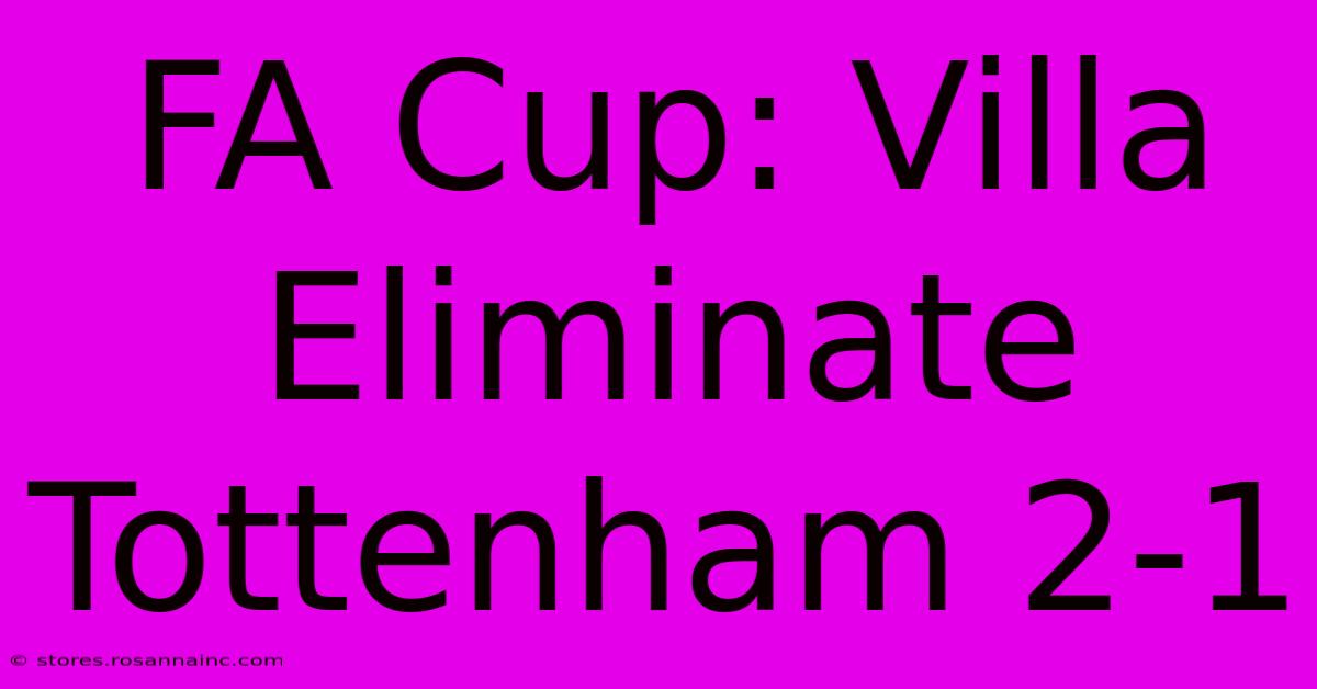 FA Cup: Villa Eliminate Tottenham 2-1