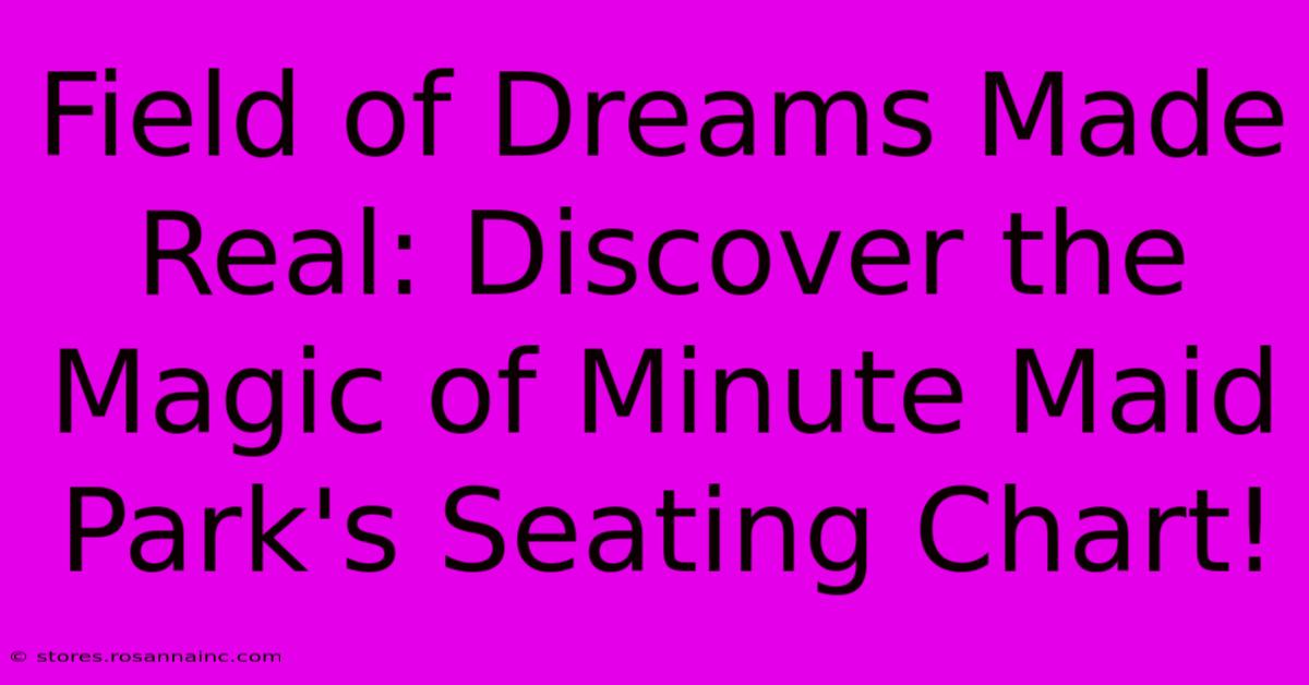 Field Of Dreams Made Real: Discover The Magic Of Minute Maid Park's Seating Chart!