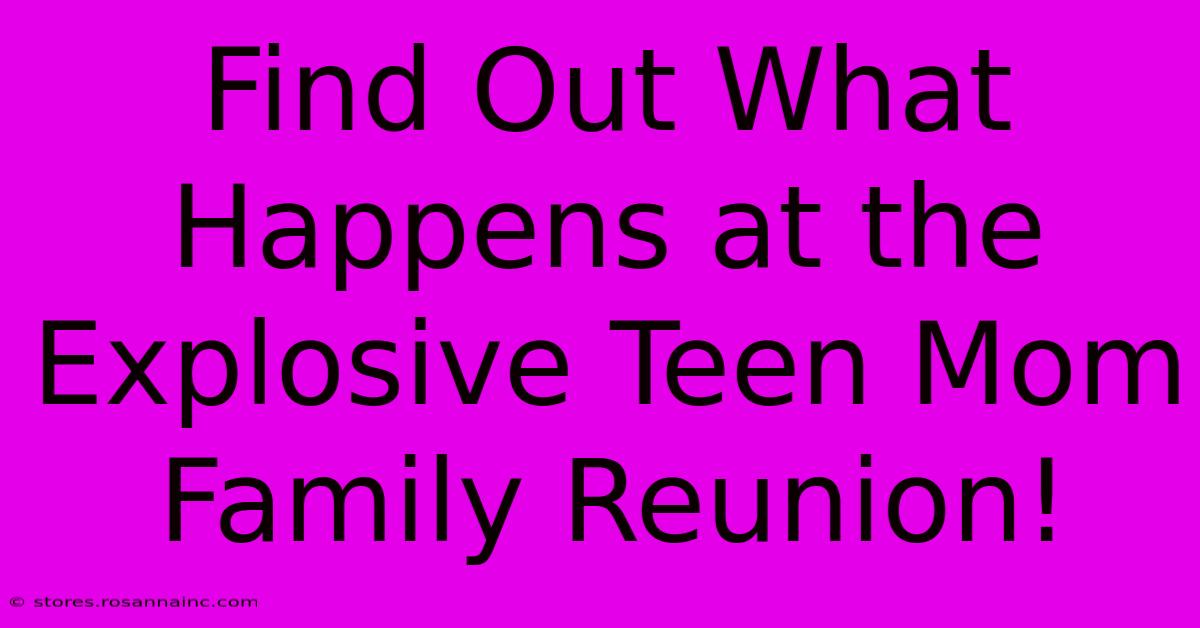 Find Out What Happens At The Explosive Teen Mom Family Reunion!