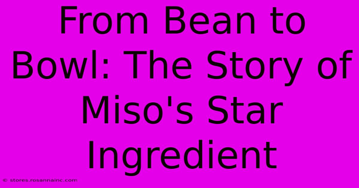 From Bean To Bowl: The Story Of Miso's Star Ingredient