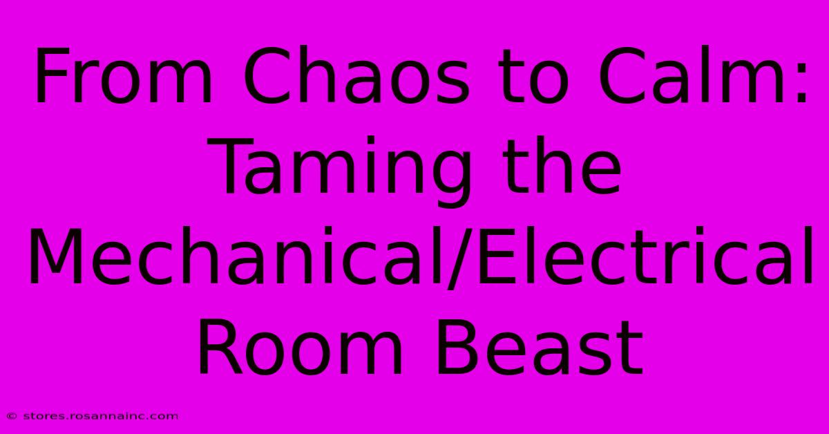 From Chaos To Calm:  Taming The Mechanical/Electrical Room Beast