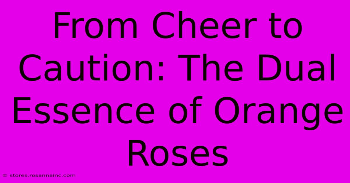 From Cheer To Caution: The Dual Essence Of Orange Roses