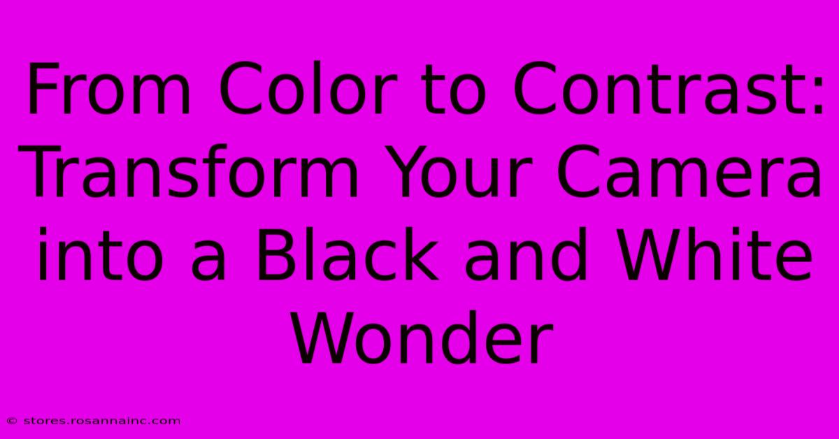 From Color To Contrast: Transform Your Camera Into A Black And White Wonder