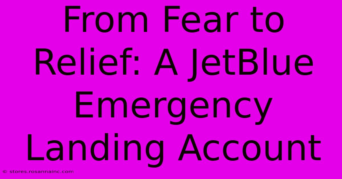 From Fear To Relief: A JetBlue Emergency Landing Account