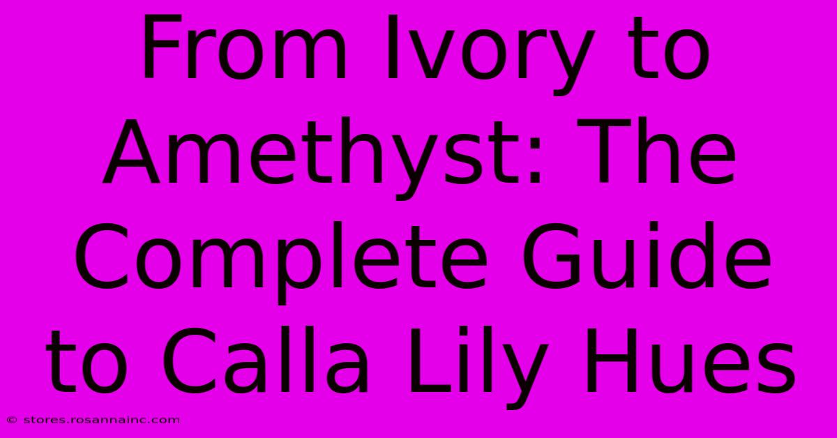 From Ivory To Amethyst: The Complete Guide To Calla Lily Hues