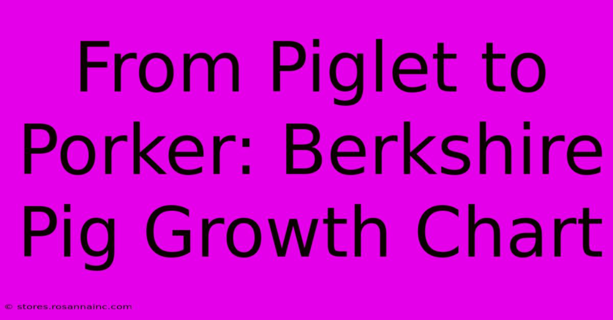 From Piglet To Porker: Berkshire Pig Growth Chart