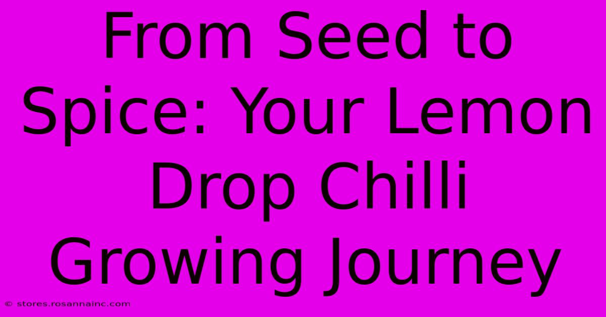 From Seed To Spice: Your Lemon Drop Chilli Growing Journey