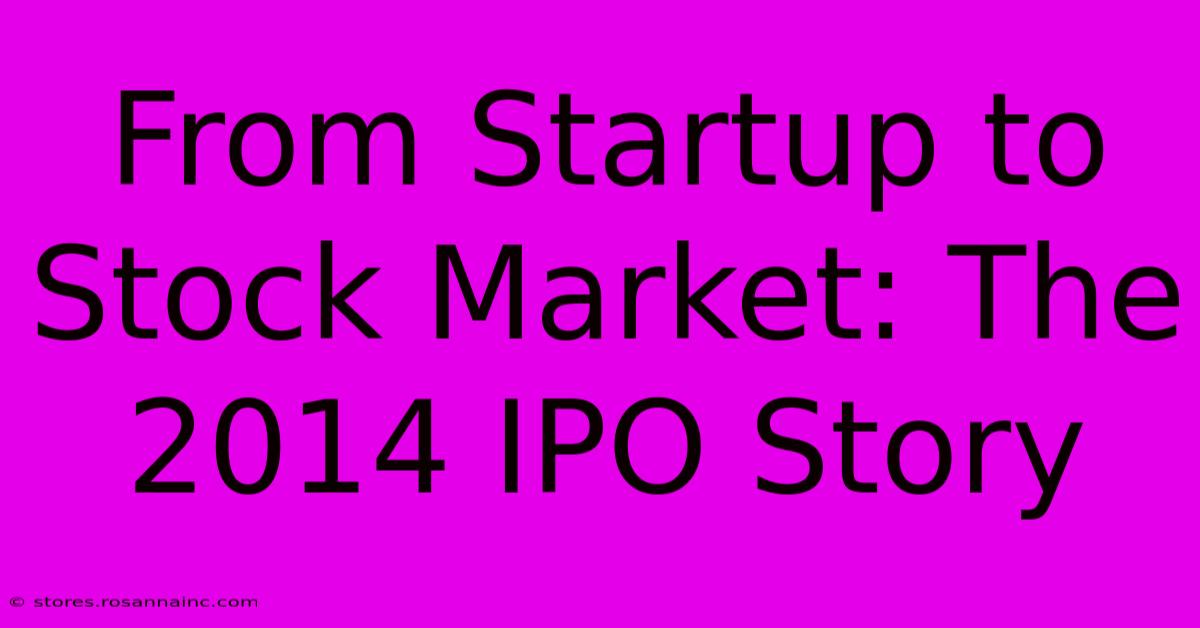 From Startup To Stock Market: The 2014 IPO Story