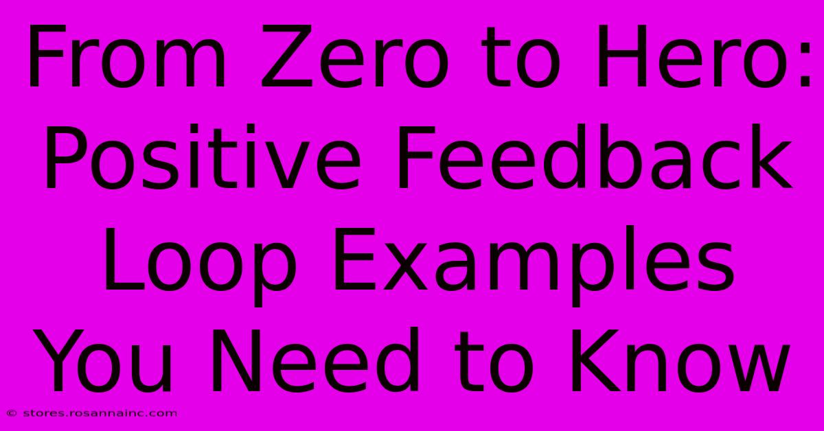 From Zero To Hero: Positive Feedback Loop Examples You Need To Know