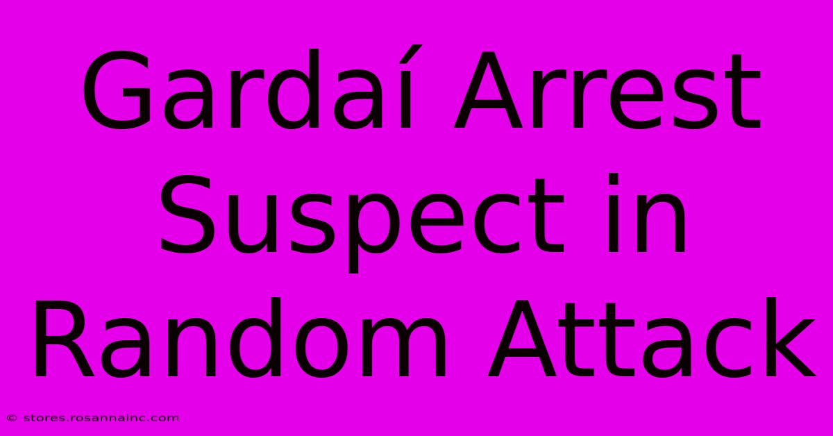 Gardaí Arrest Suspect In Random Attack