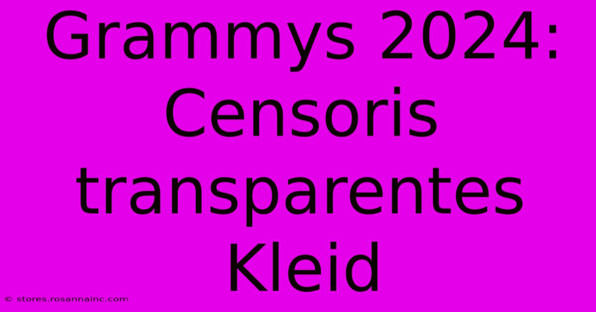 Grammys 2024: Censoris Transparentes Kleid