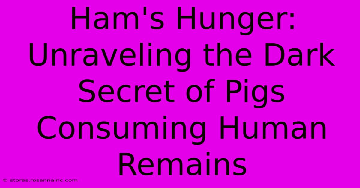 Ham's Hunger: Unraveling The Dark Secret Of Pigs Consuming Human Remains