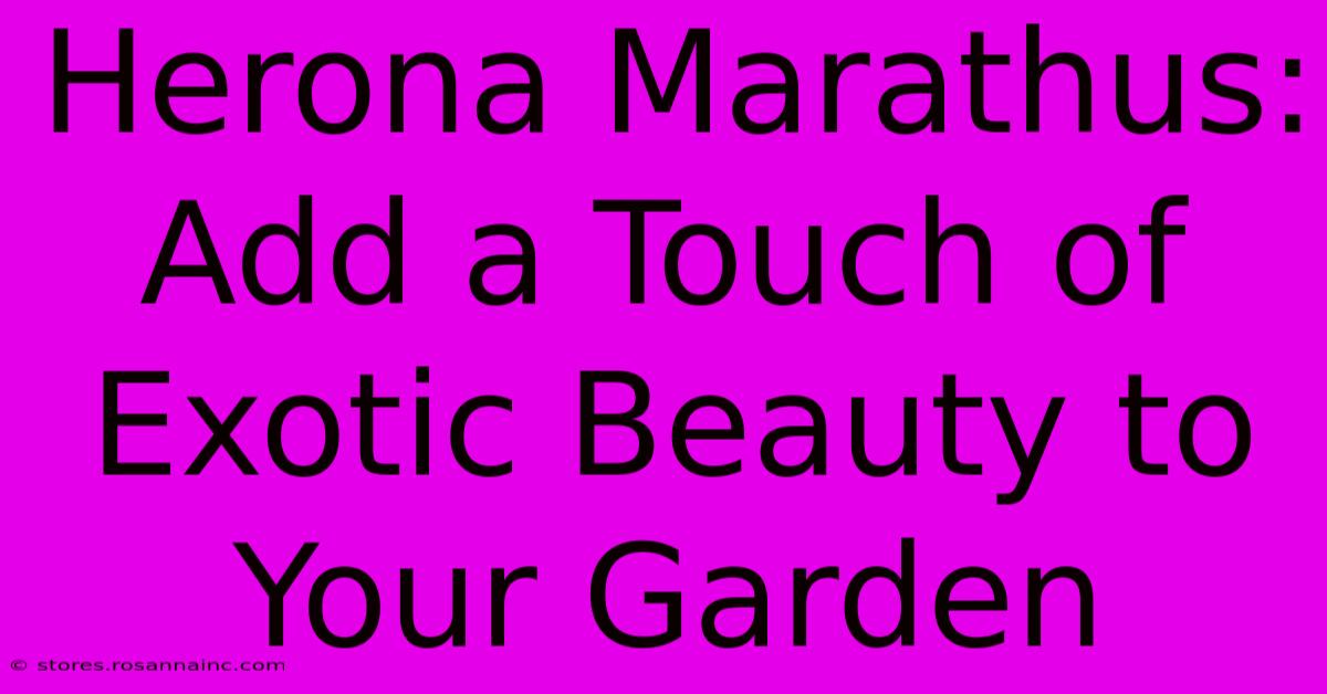 Herona Marathus: Add A Touch Of Exotic Beauty To Your Garden