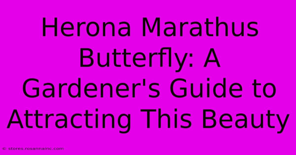 Herona Marathus Butterfly: A Gardener's Guide To Attracting This Beauty