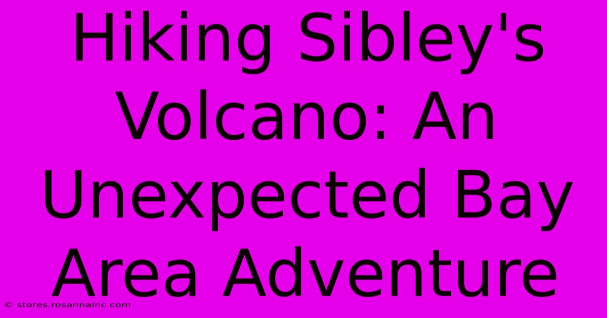 Hiking Sibley's Volcano: An Unexpected Bay Area Adventure