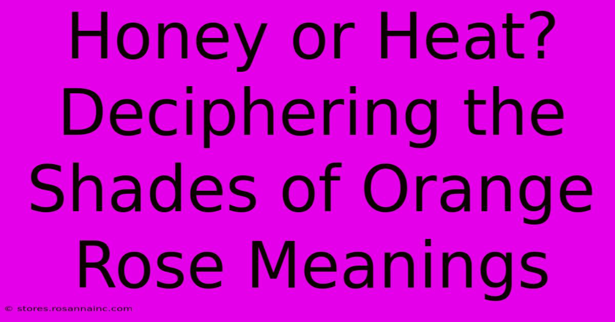 Honey Or Heat? Deciphering The Shades Of Orange Rose Meanings