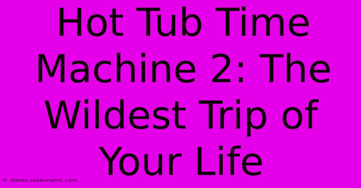 Hot Tub Time Machine 2: The Wildest Trip Of Your Life