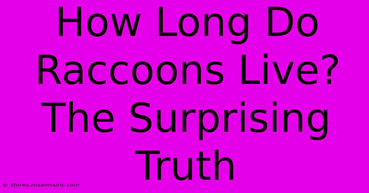 How Long Do Raccoons Live? The Surprising Truth