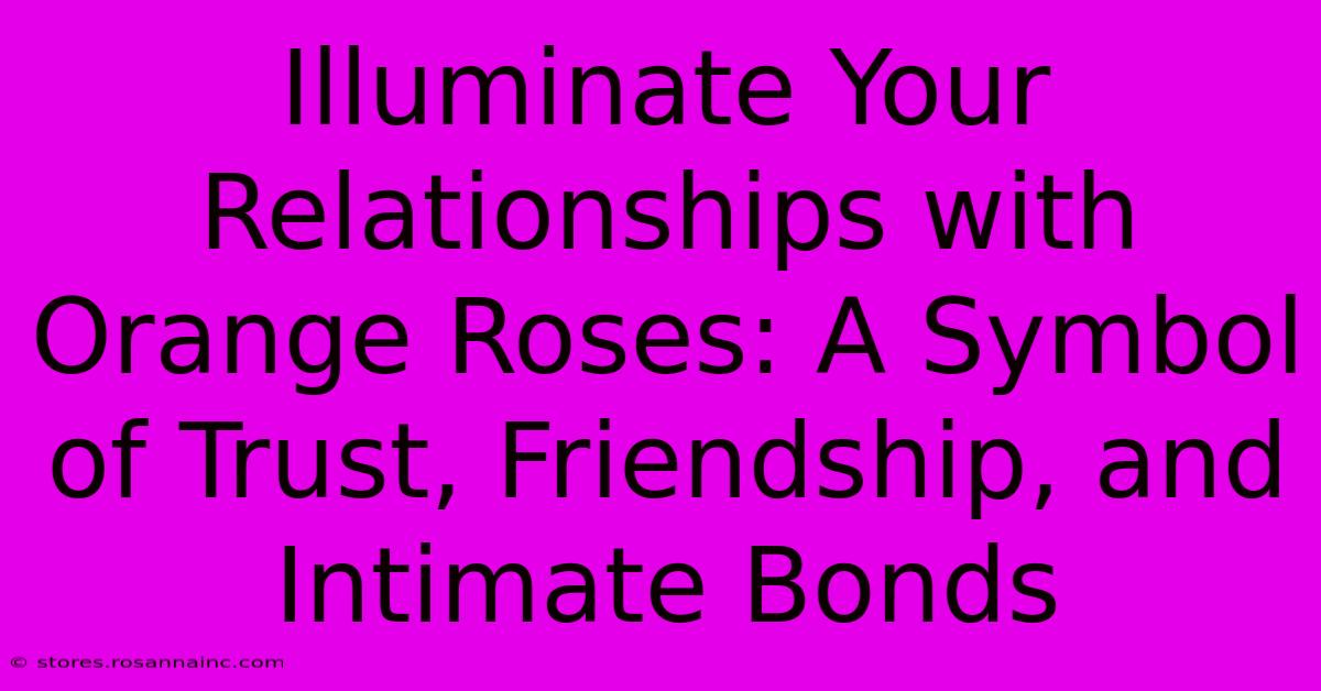 Illuminate Your Relationships With Orange Roses: A Symbol Of Trust, Friendship, And Intimate Bonds