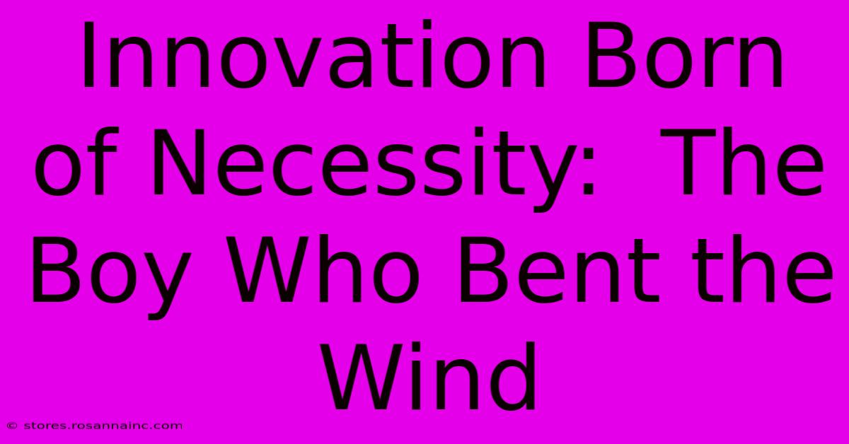 Innovation Born Of Necessity:  The Boy Who Bent The Wind