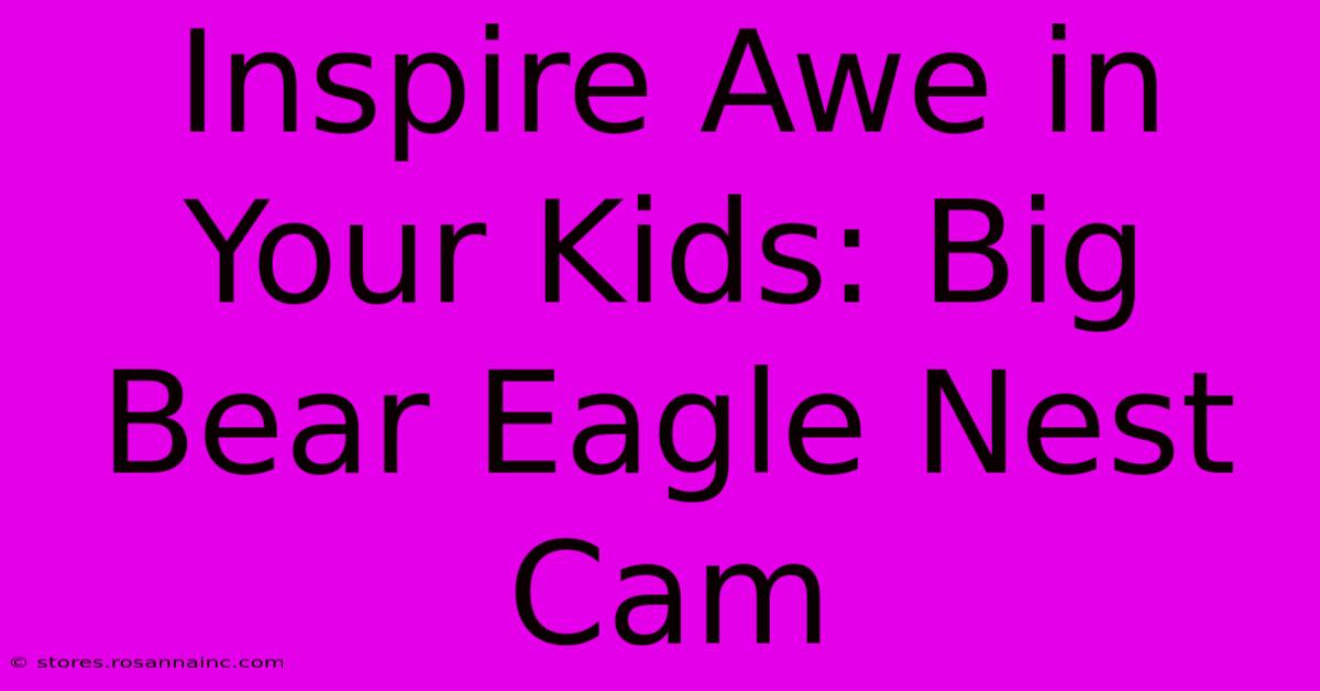 Inspire Awe In Your Kids: Big Bear Eagle Nest Cam