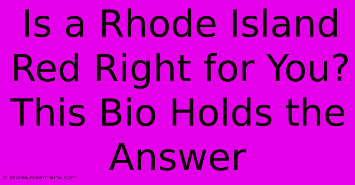 Is A Rhode Island Red Right For You? This Bio Holds The Answer