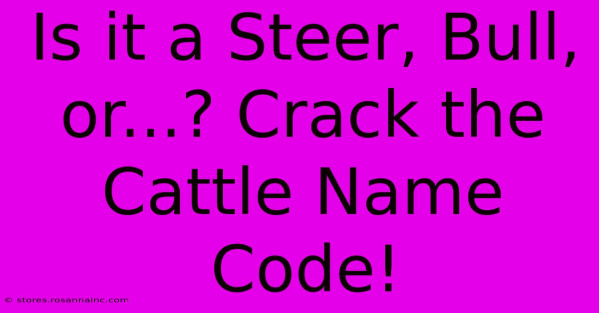 Is It A Steer, Bull, Or...? Crack The Cattle Name Code!