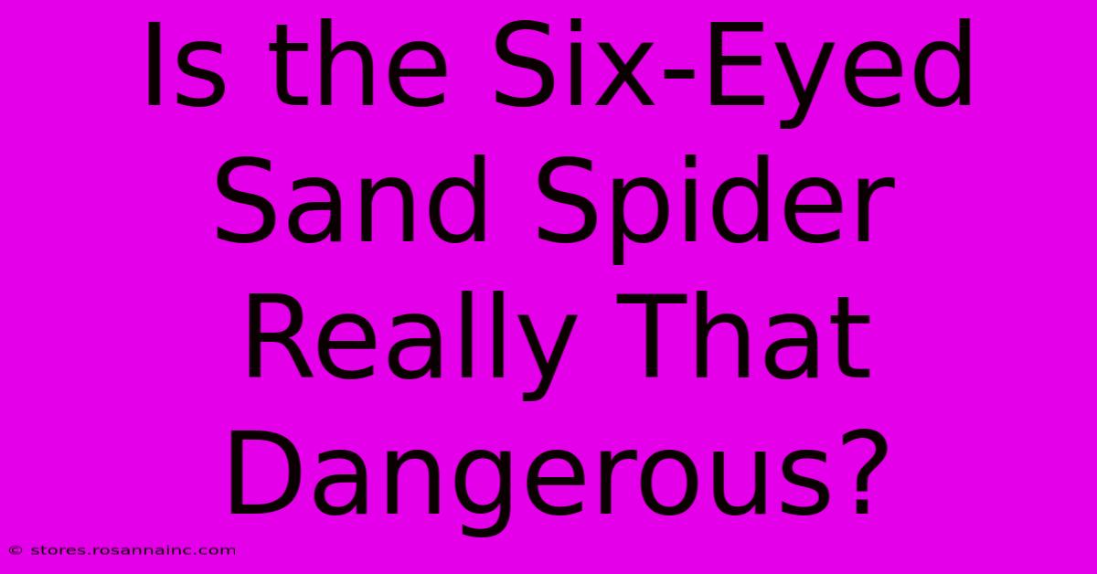 Is The Six-Eyed Sand Spider Really That Dangerous?